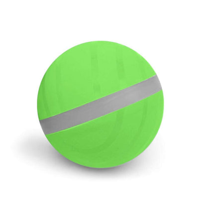 LED Ball Toy