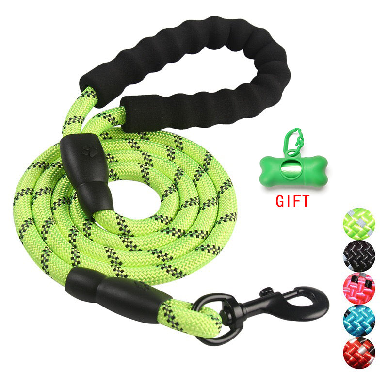 Nylon Dog Leash