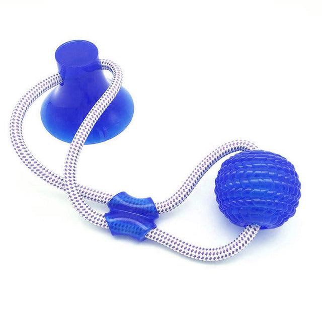 Suction Cup