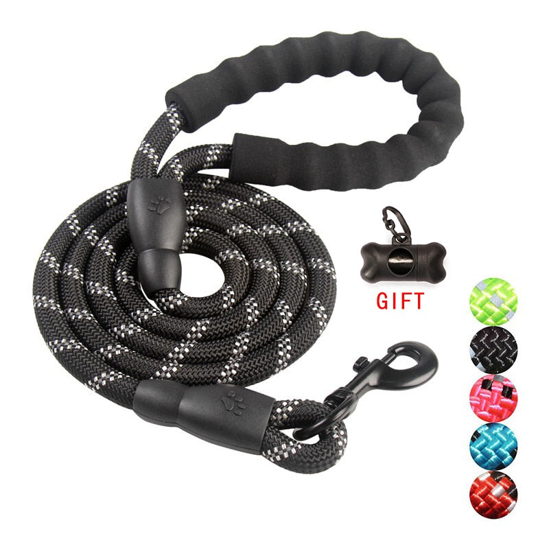 Nylon Dog Leash