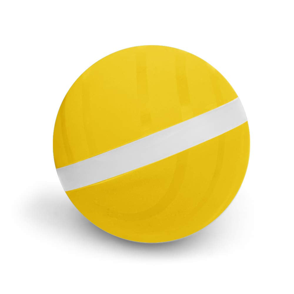 LED Ball Toy