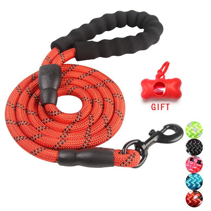 Nylon Dog Leash
