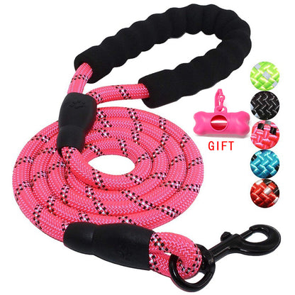 Nylon Dog Leash