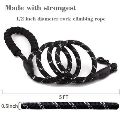 Nylon Dog Leash