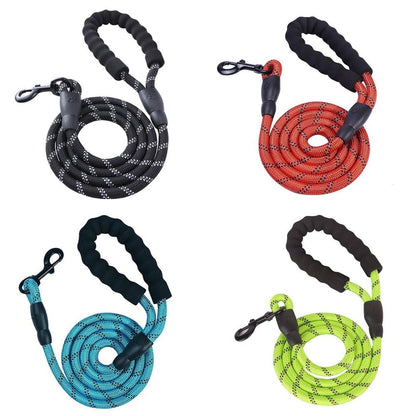 Nylon Dog Leash