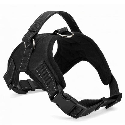 Adjustable Harness with Collar