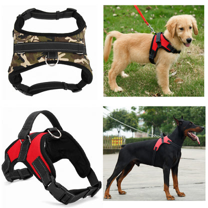 Adjustable Harness with Collar