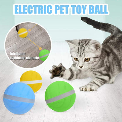 LED Ball Toy