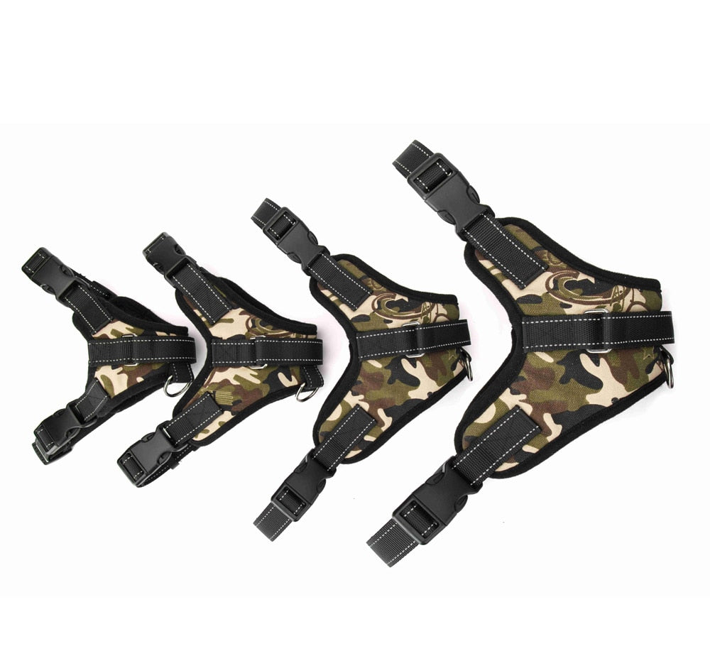 Adjustable Harness with Collar