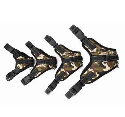 Adjustable Harness with Collar
