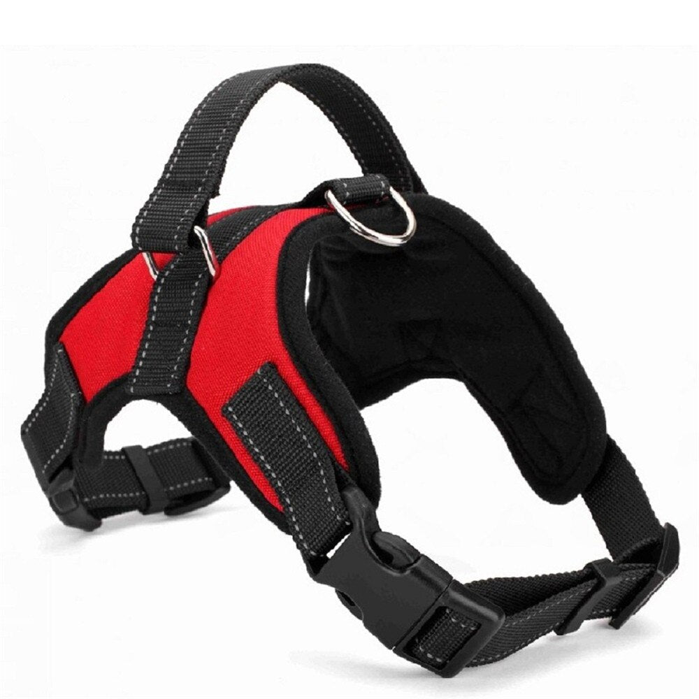 Adjustable Harness with Collar