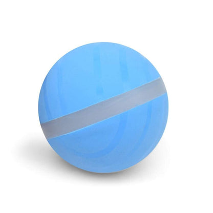 LED Ball Toy