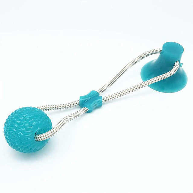 Suction Cup