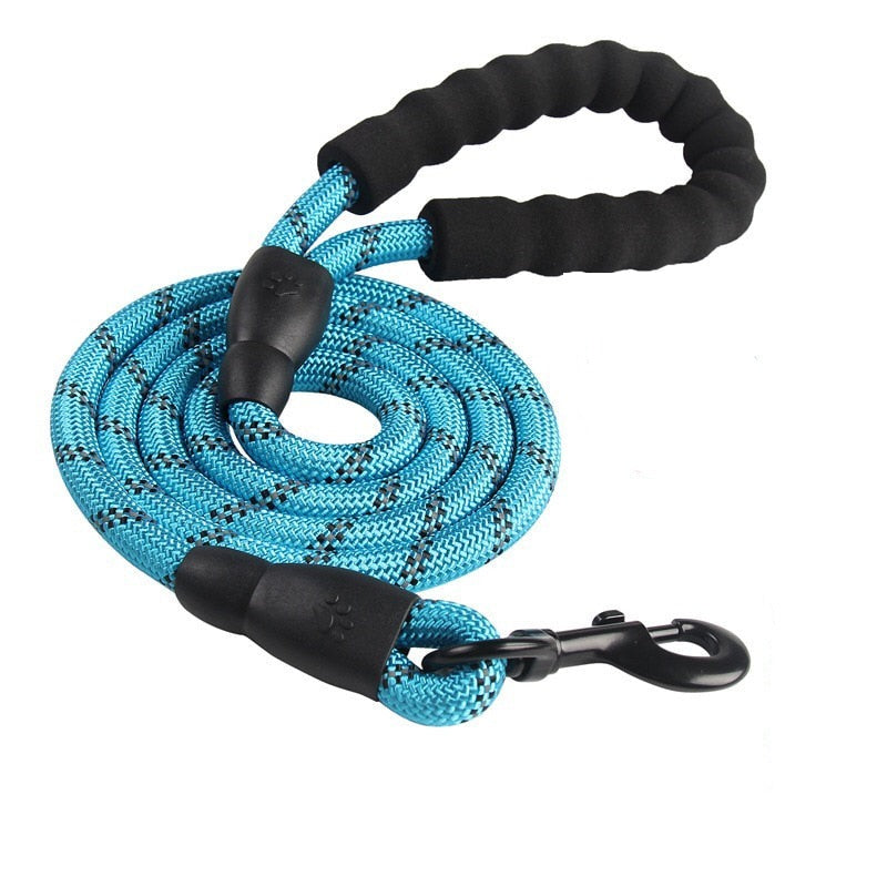 Nylon Dog Leash