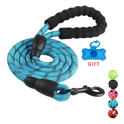 Nylon Dog Leash