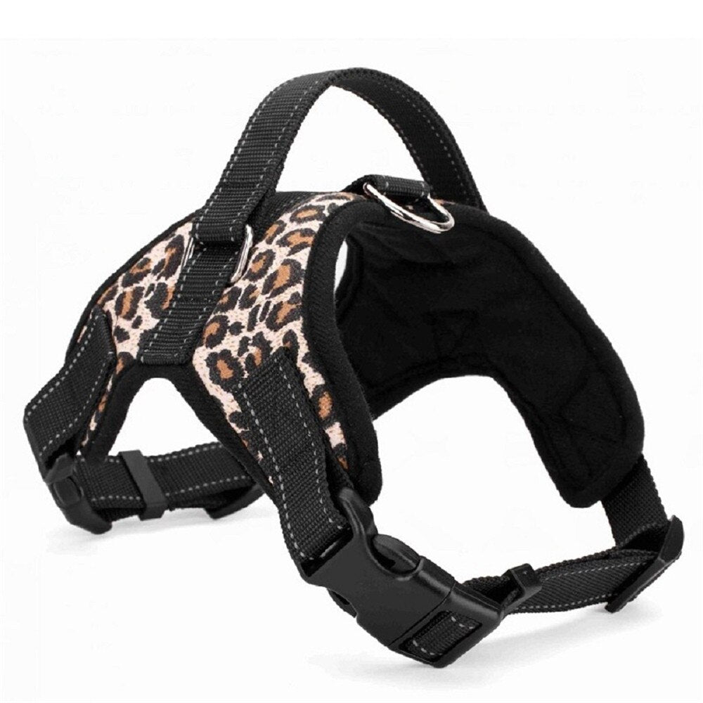Adjustable Harness with Collar