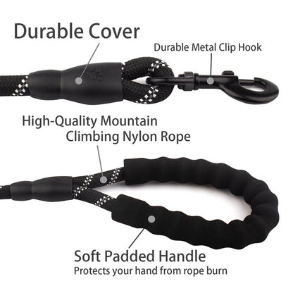 Nylon Dog Leash