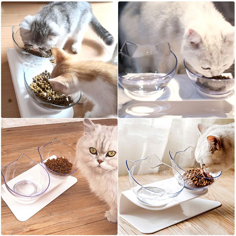 Cat Bowl with Raise Stand