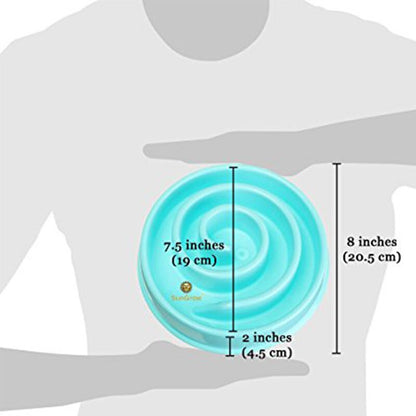 Slow Feeder Bowl