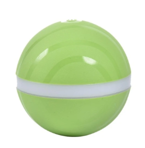 LED Ball Toy