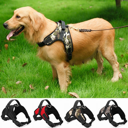 Adjustable Harness with Collar