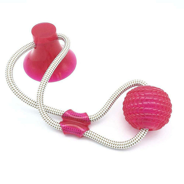 Suction Cup