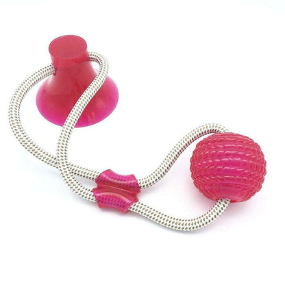 Suction Cup