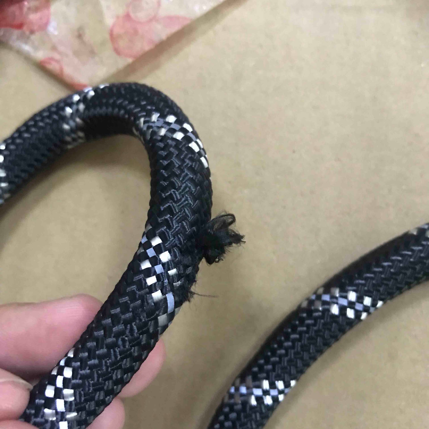 Nylon Dog Leash