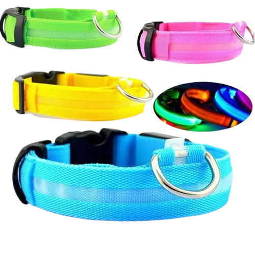 Dog LED Flashing Collar